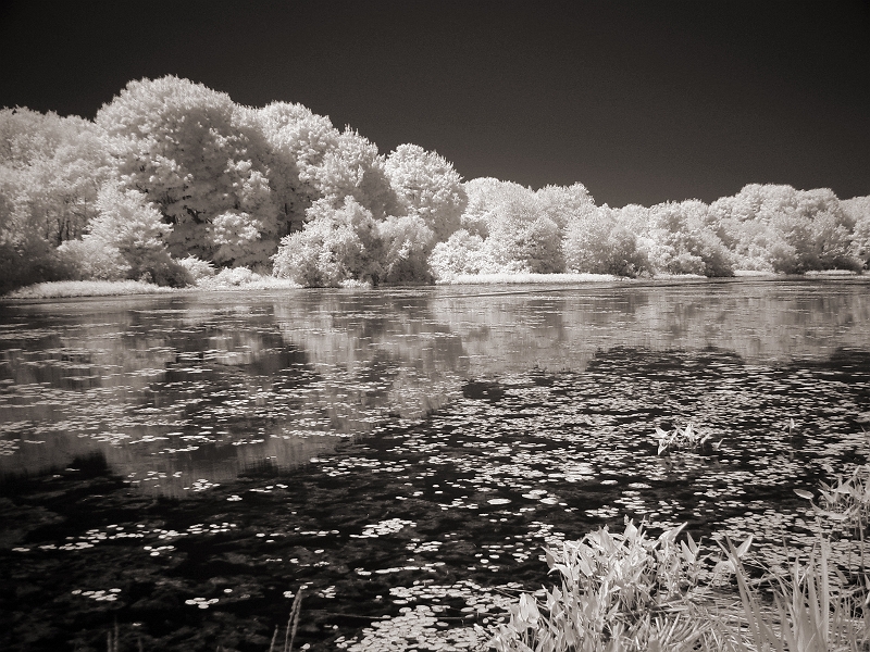 Rhode Island Pond Somewhere in RI � Dave Hickey